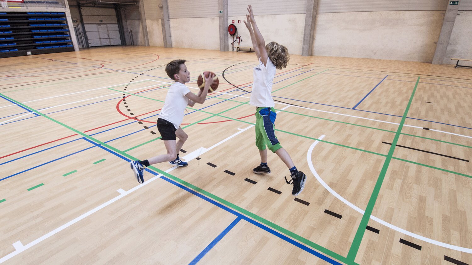 PDT-Taraflex-Evolution