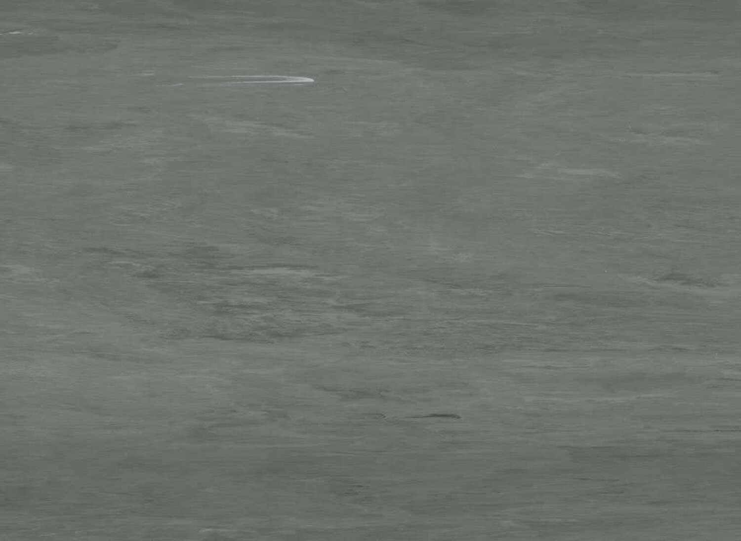 Coloris 2038 - scanmobile