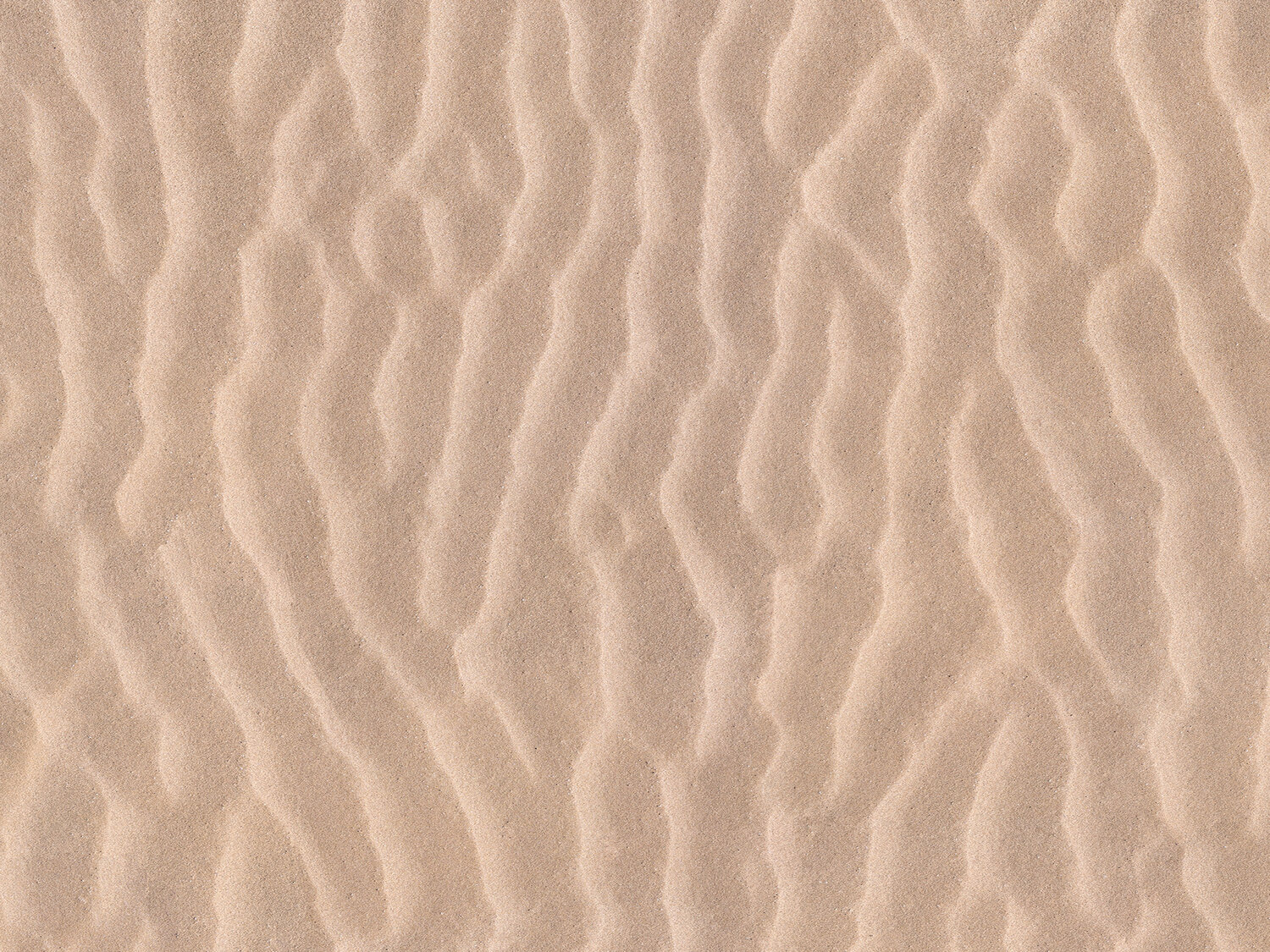 MyTaraflex White Sand