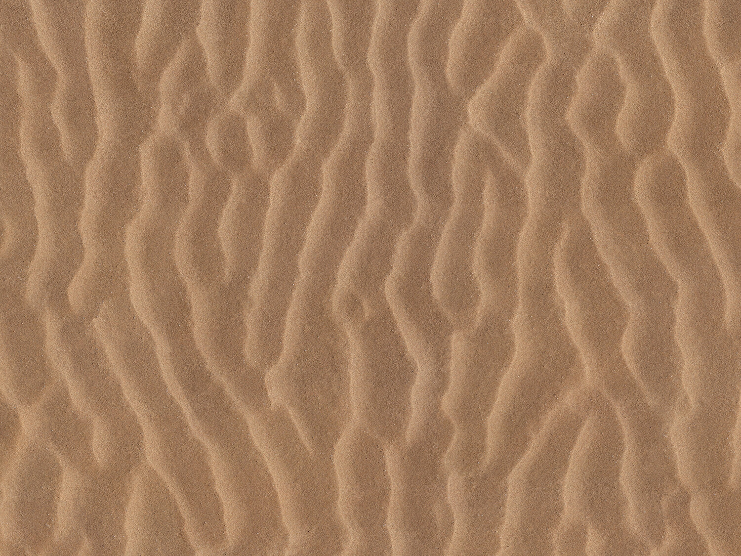 MyTaraflex Golden Sand