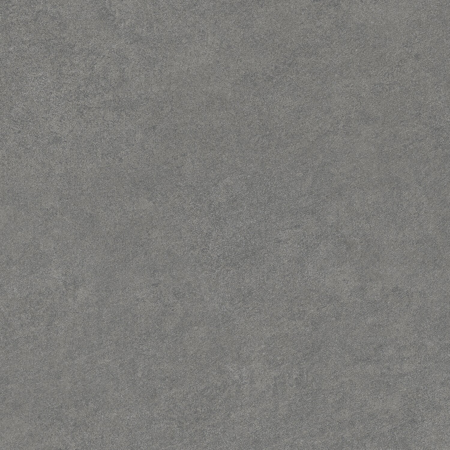 CONCRETE BLOOM.jpg