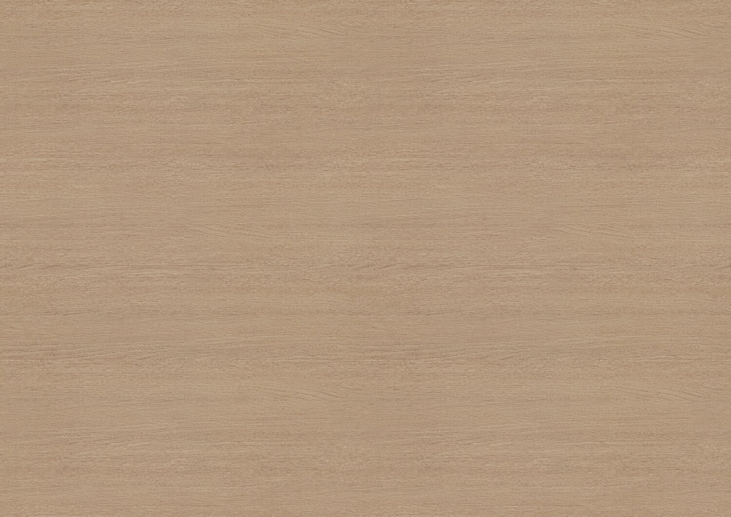 0457 TENDANCE HETRE.jpg
