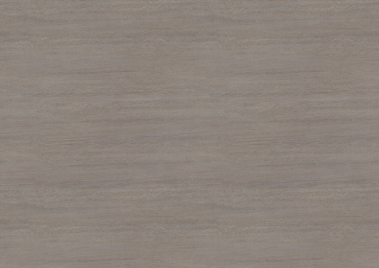 0484 TENDANCE GRIS.jpg