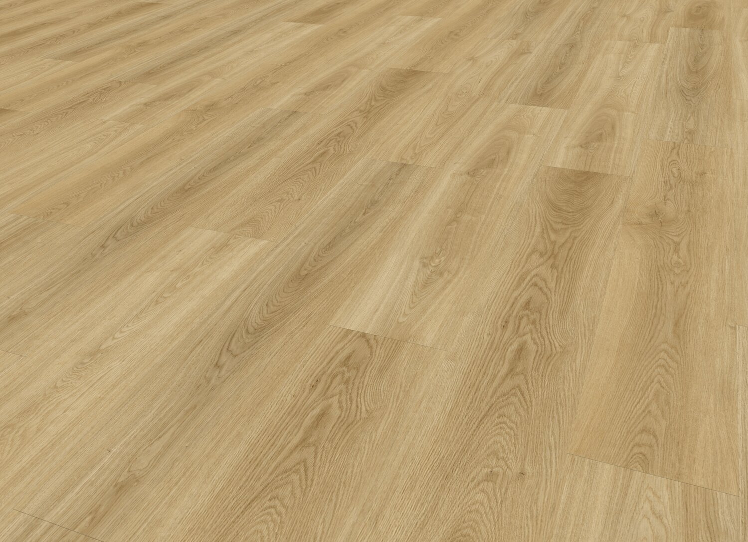 Selma Honey Perspective.jpg