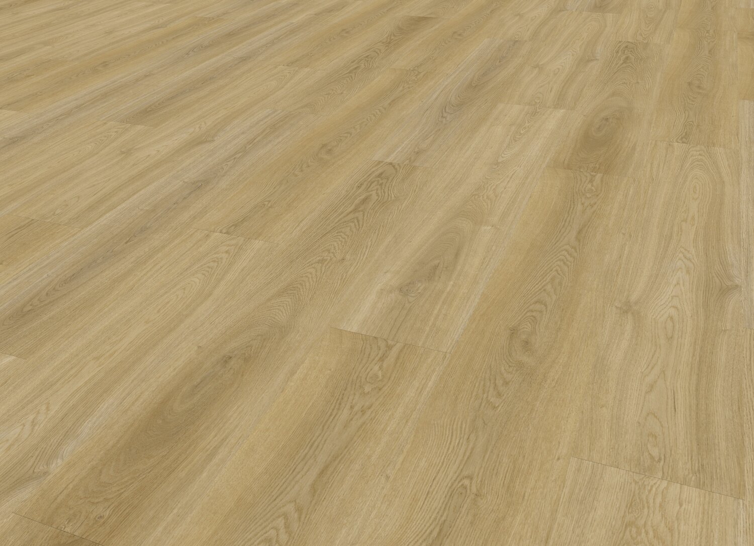 Selma Honey clear Perspective view.jpg