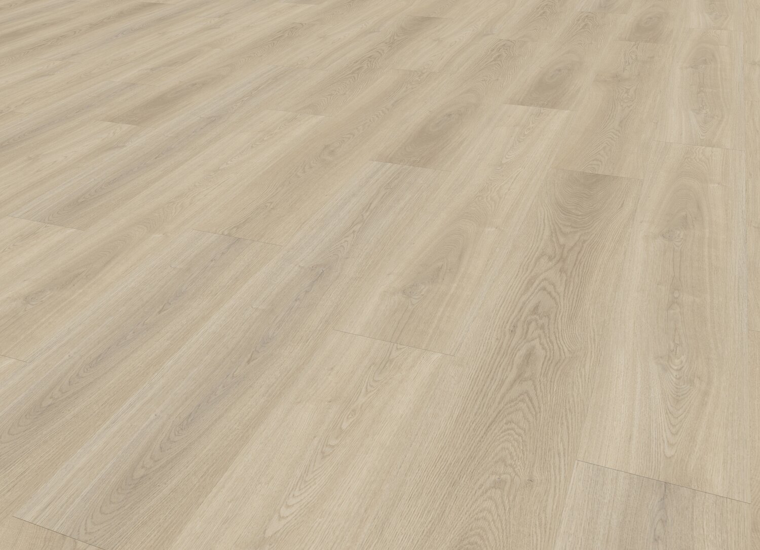 Selma Light Perspective.jpg