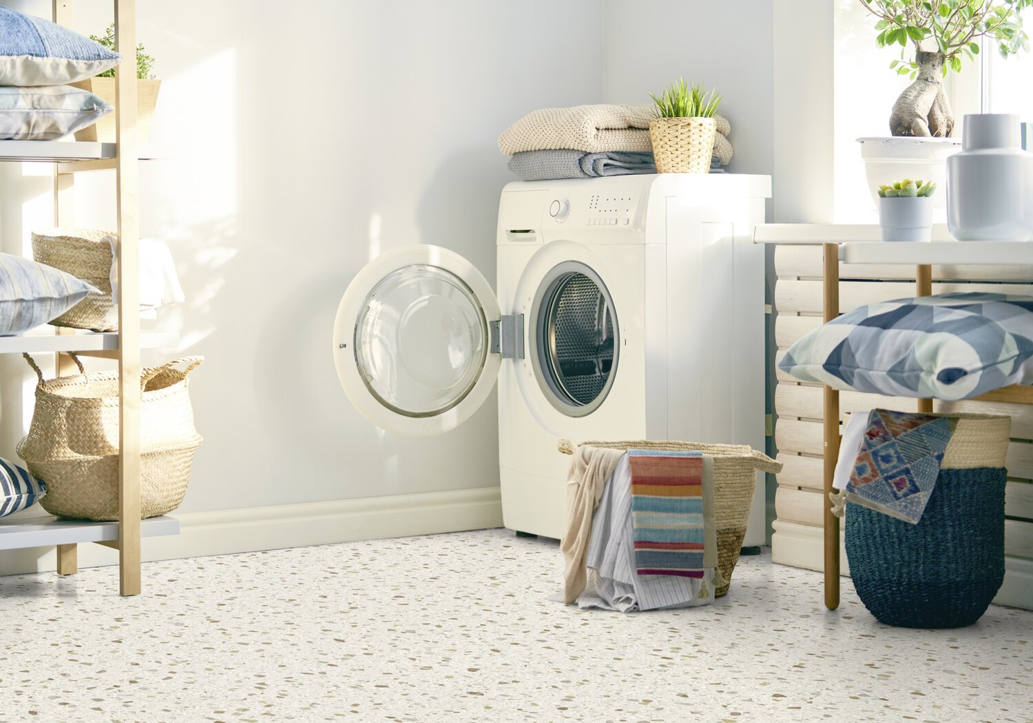 Bari Clear Laundry.jpg