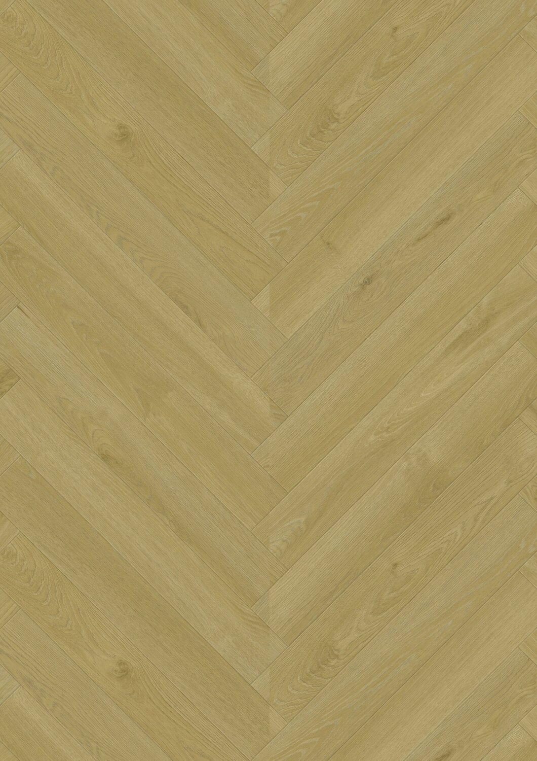 JPG 72 dpi-Hera honey Frontal view.jpg