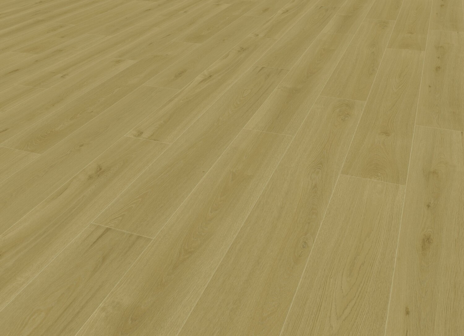 JPG 72 dpi-Cottage Honey Perspective view.jpg