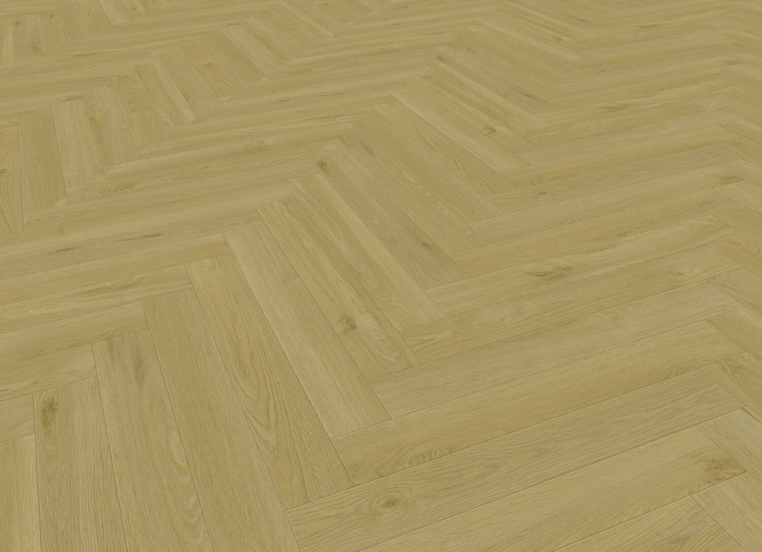 JPG 72 dpi-Hera honey perspective view.jpg