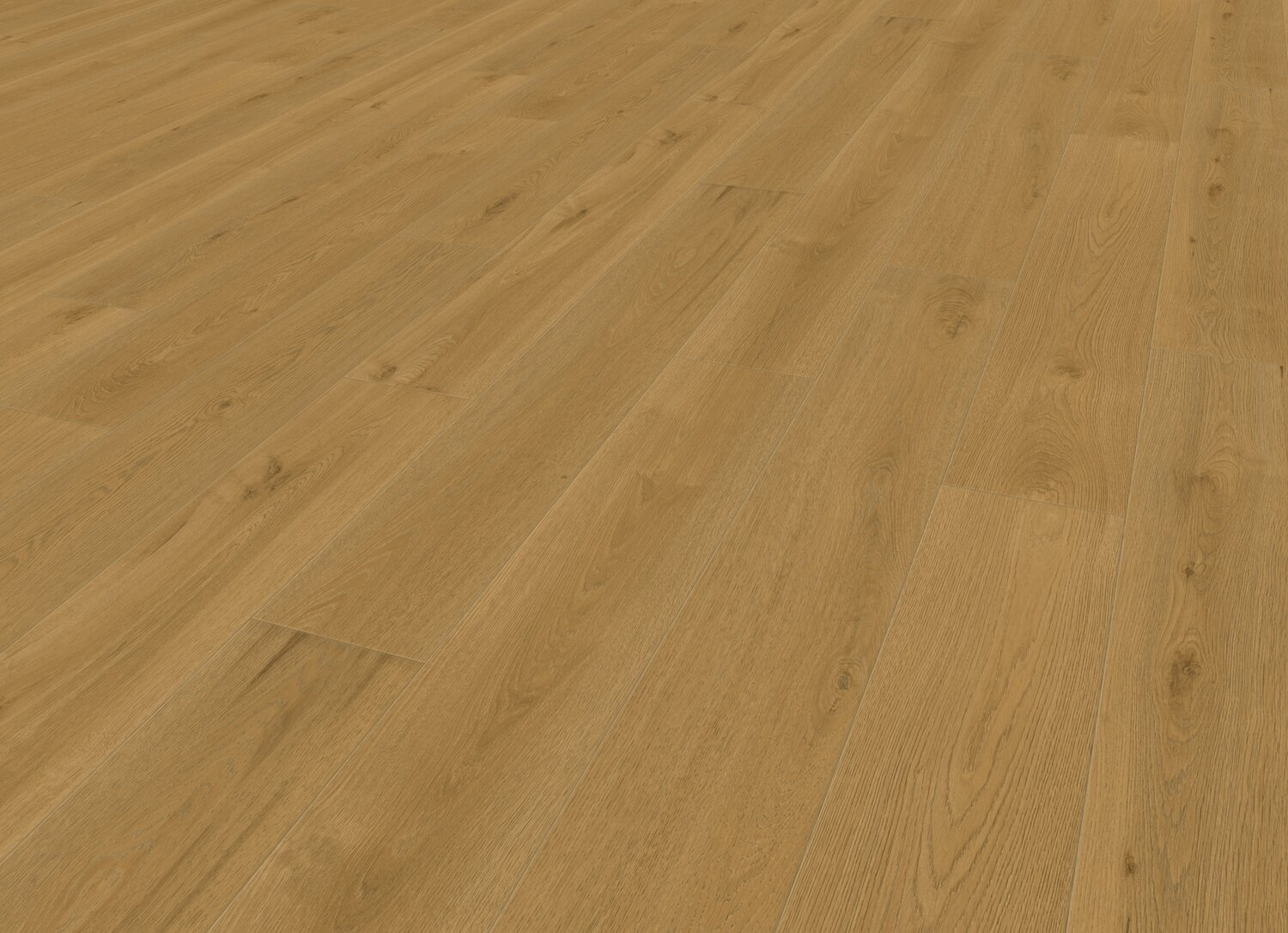 COTTAGE BLOND PERSP VIEW.jpg