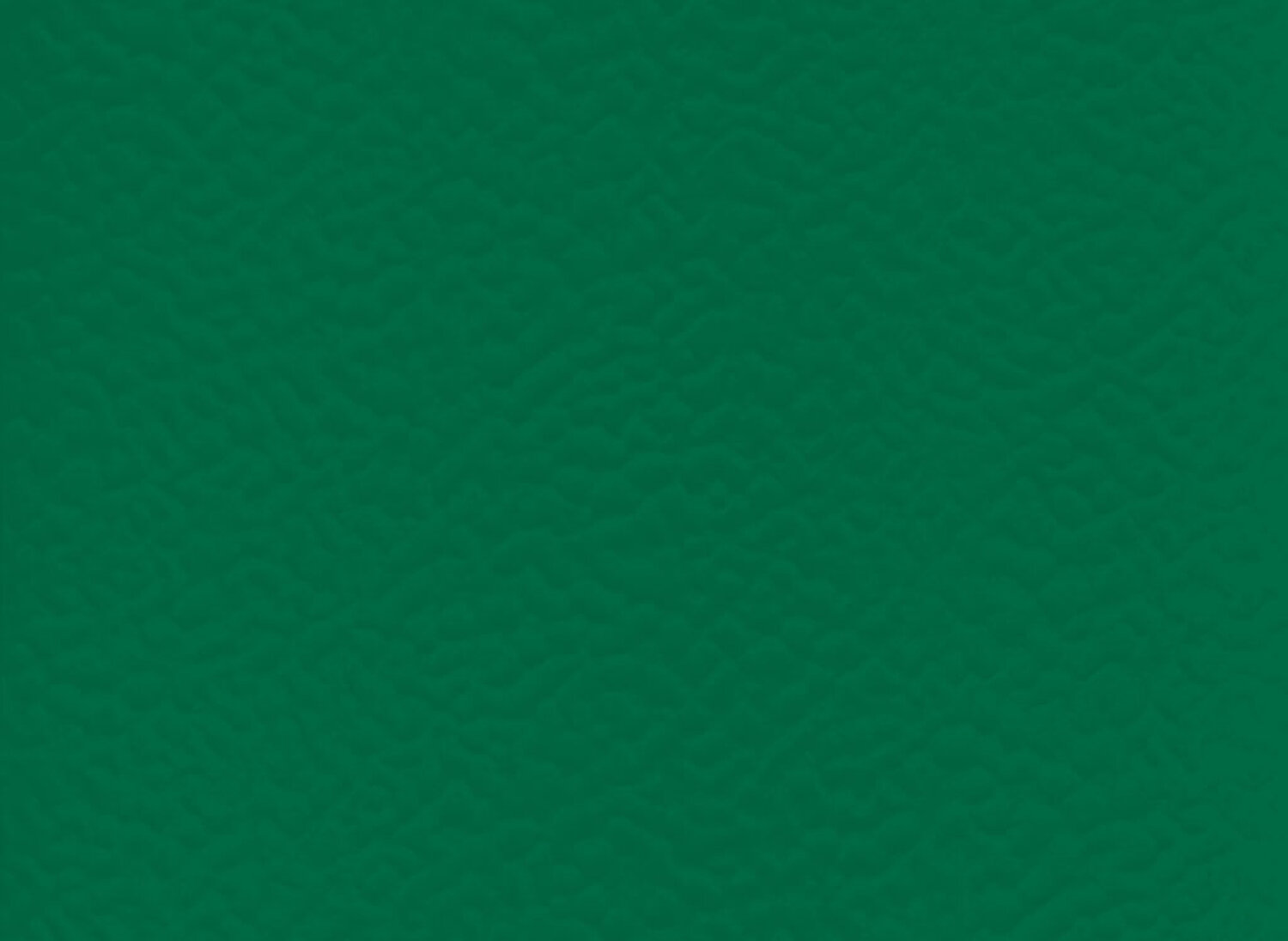 forest-6557.jpg