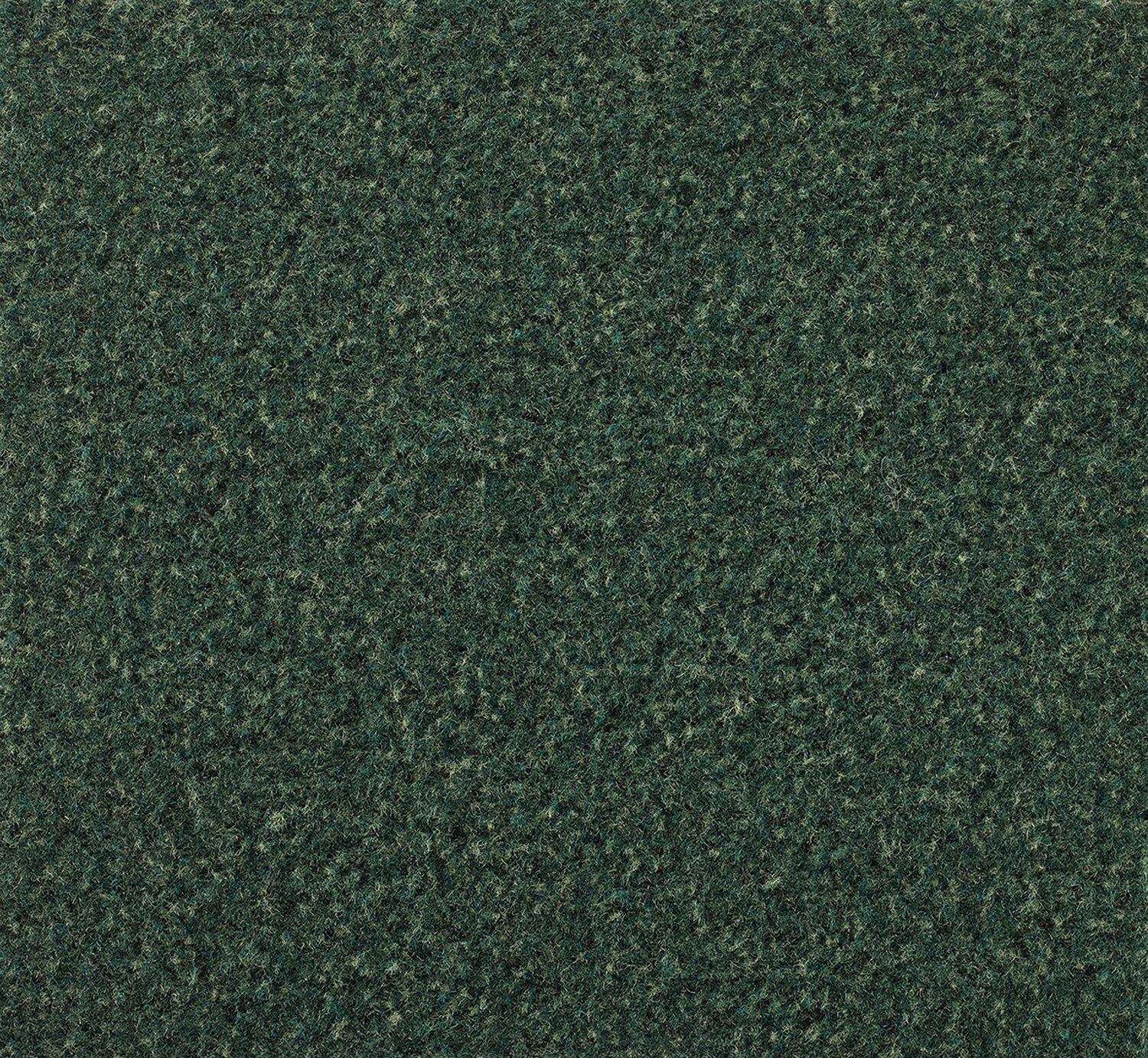 Boulevard 5000 - Gradus - Mallard