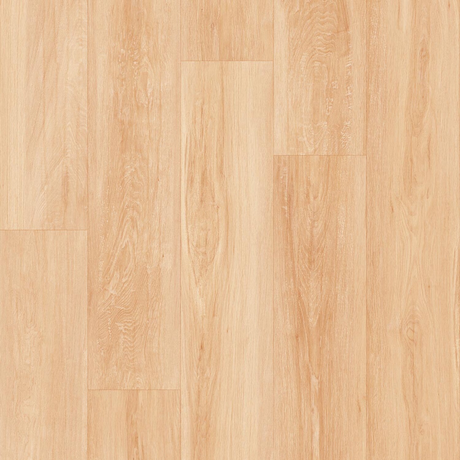 ALBION-1161-NATURAL YELLOW
