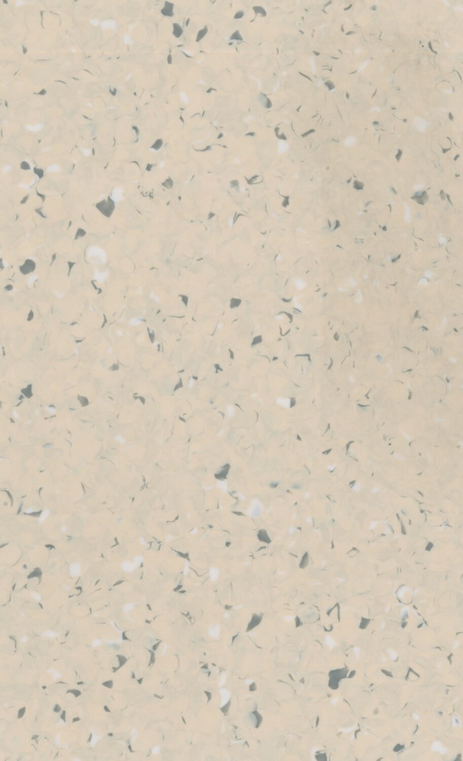Biela