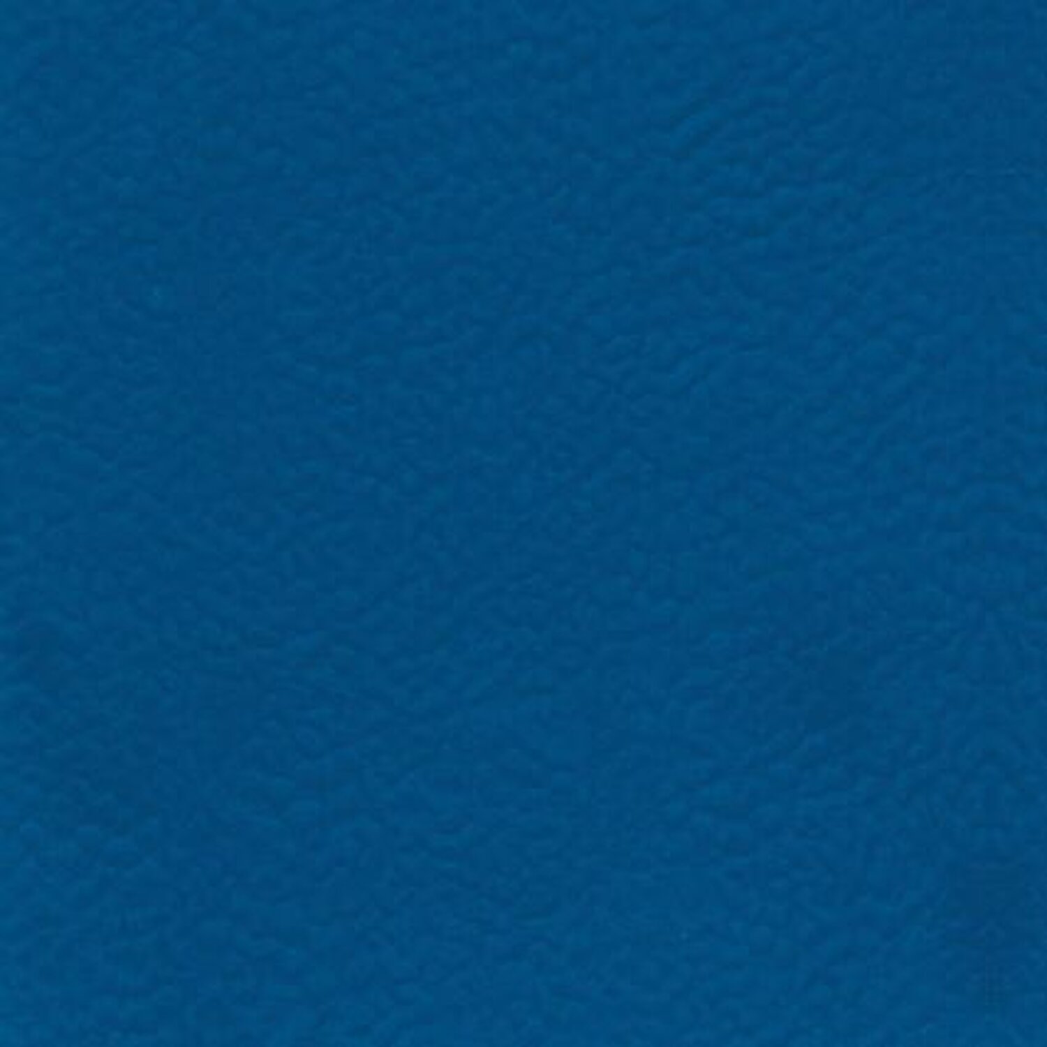 JPG 72 dpi-RS619_123_6430_blue.jpg