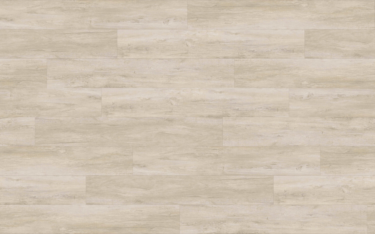 DP1304 Limed Silver Birch Swatch.jpg