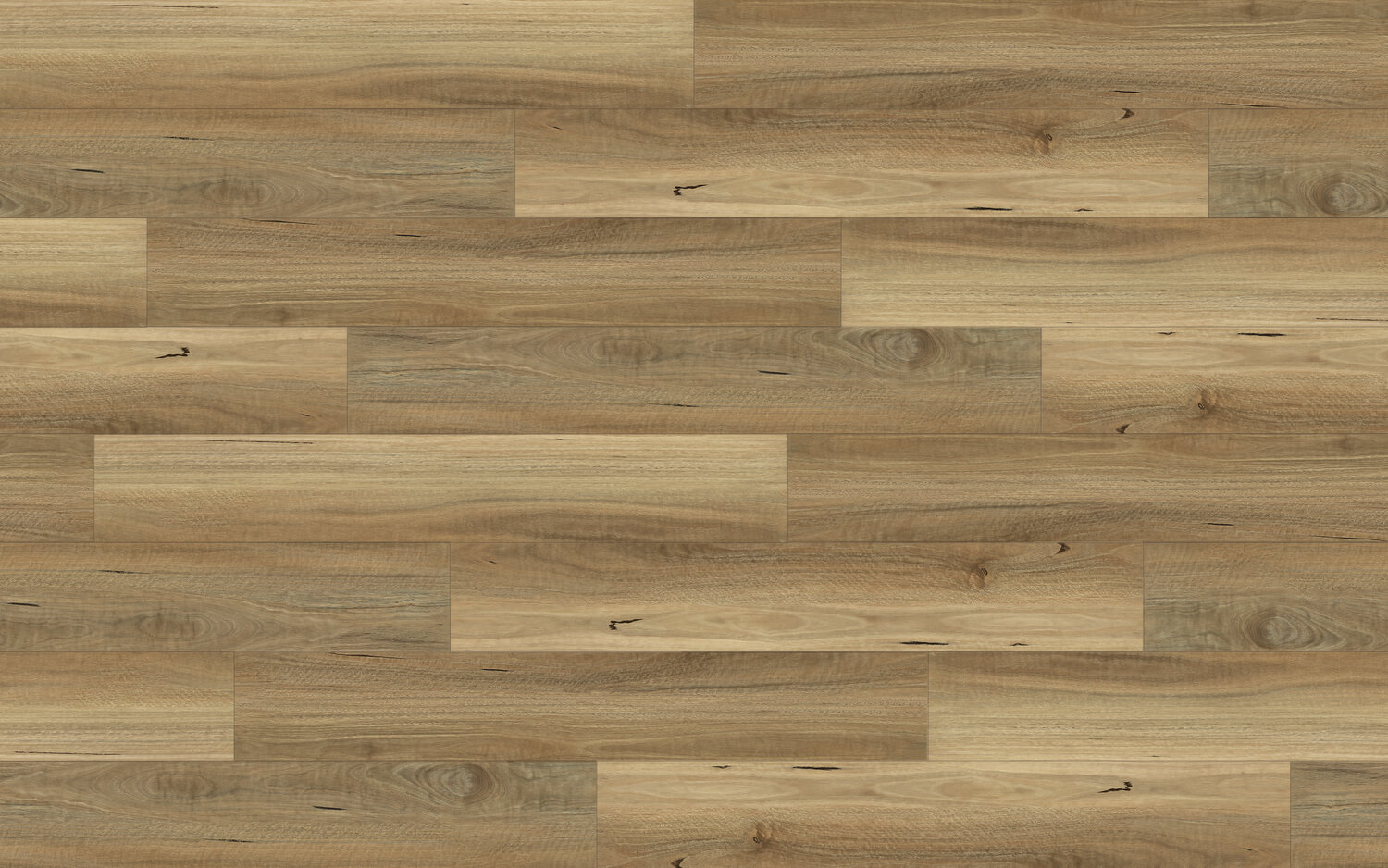 DP1326 Western Spotted Gum Swatch.jpg