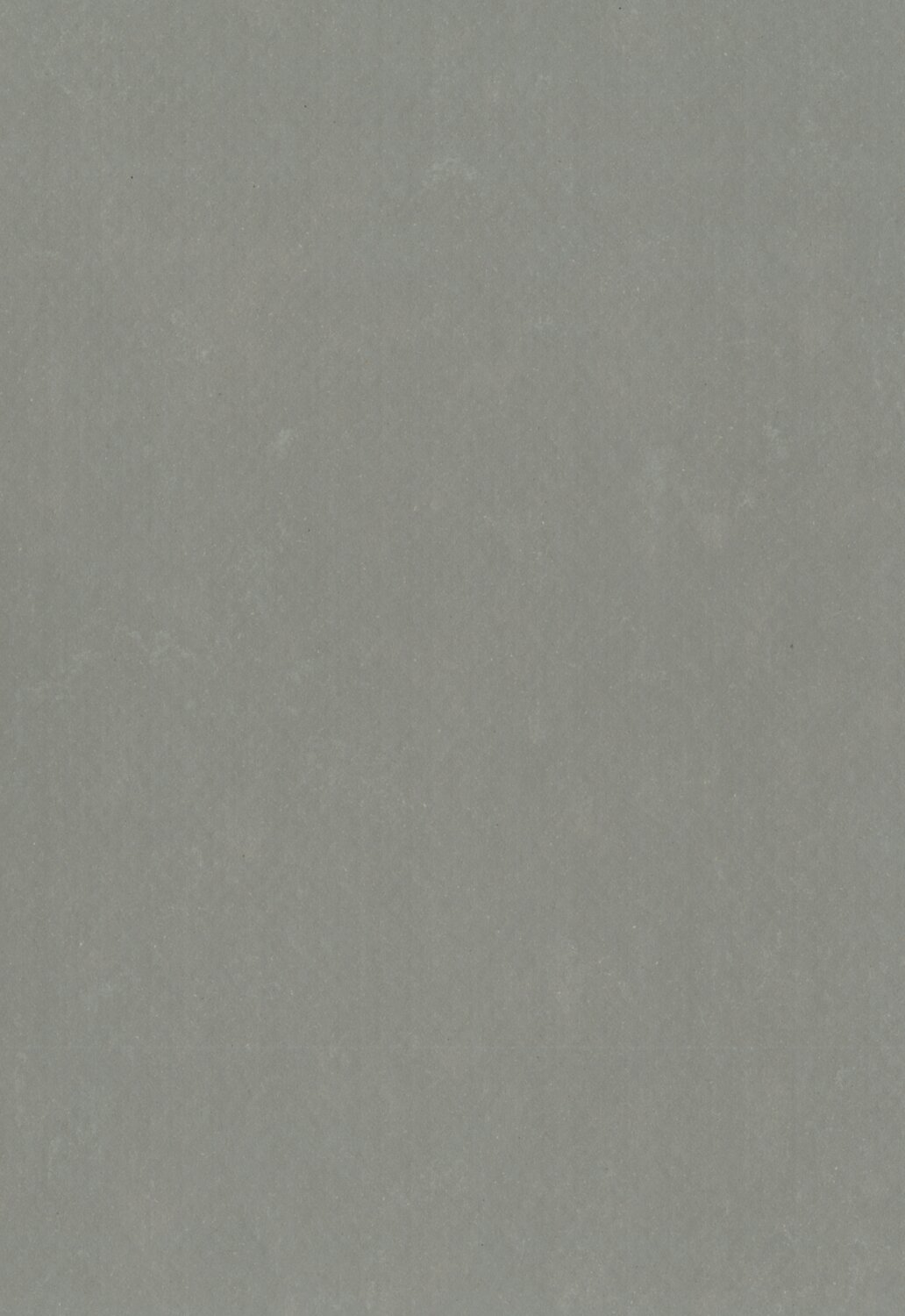 Lino Art Urban 0568 Asphalt Grey.jpg