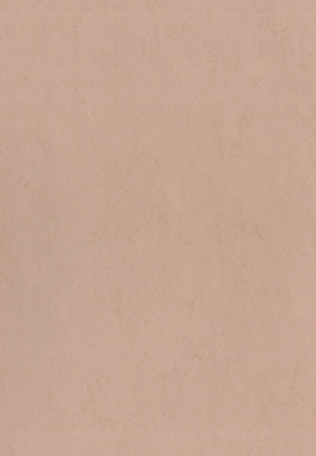 Lino Art Urban 0575 Powder Stone Brown.jpg