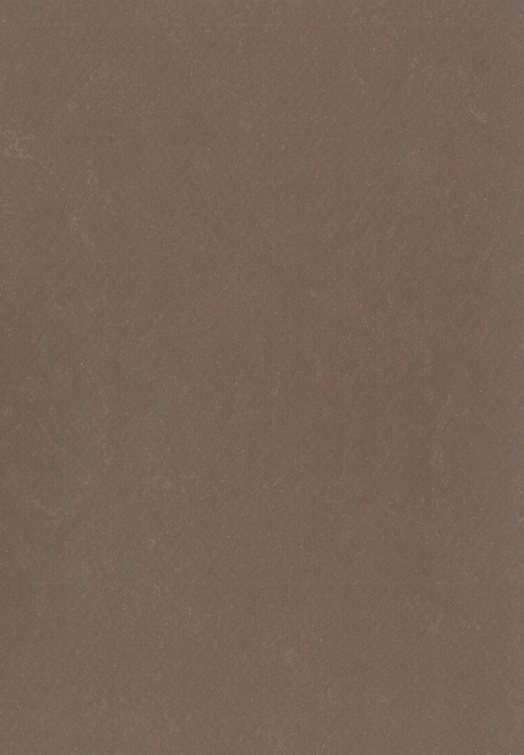 Lino Art Urban 0571 Tree Bark Brown.jpg