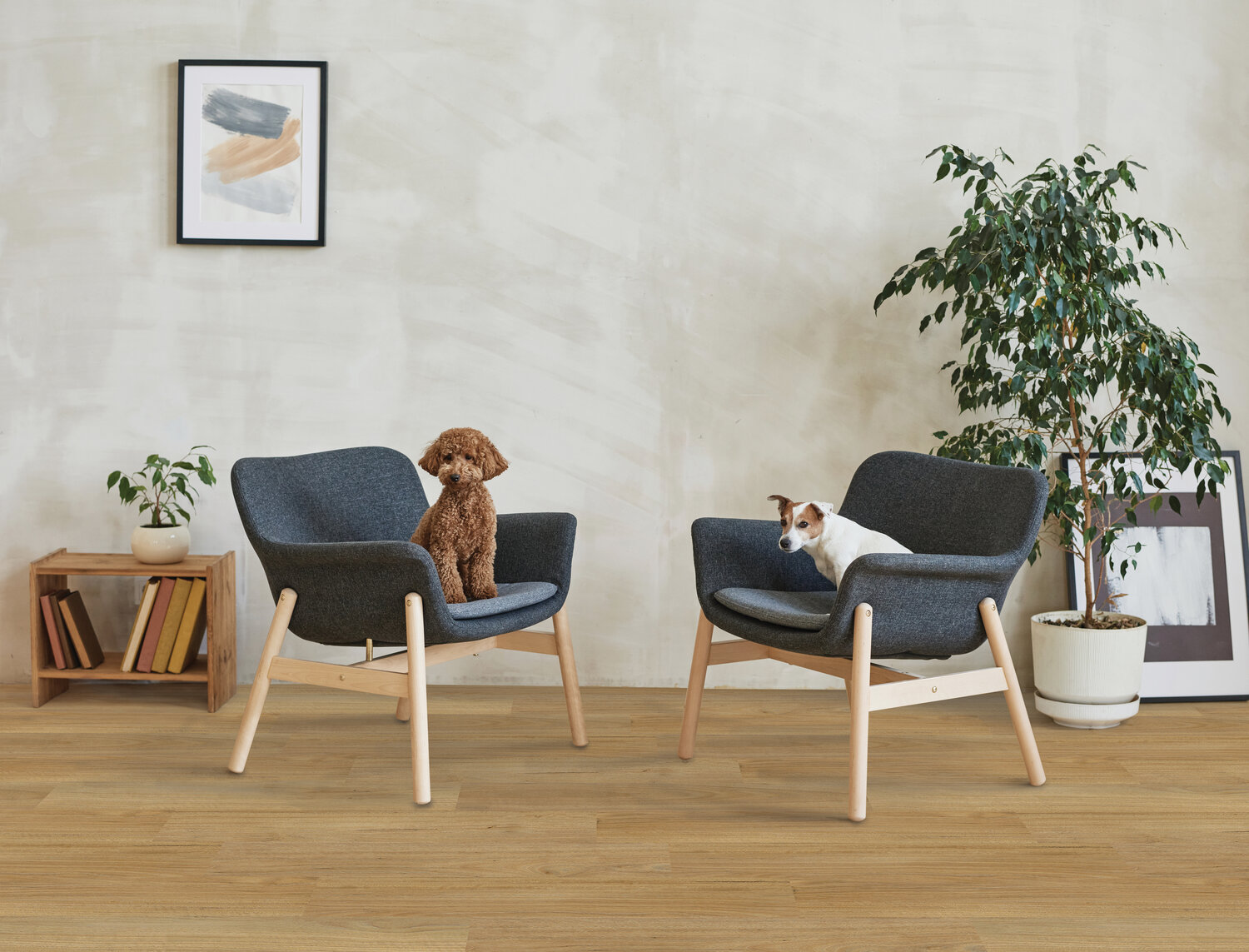 Modular Living Classic MLC11822 Mountain Gum.jpg