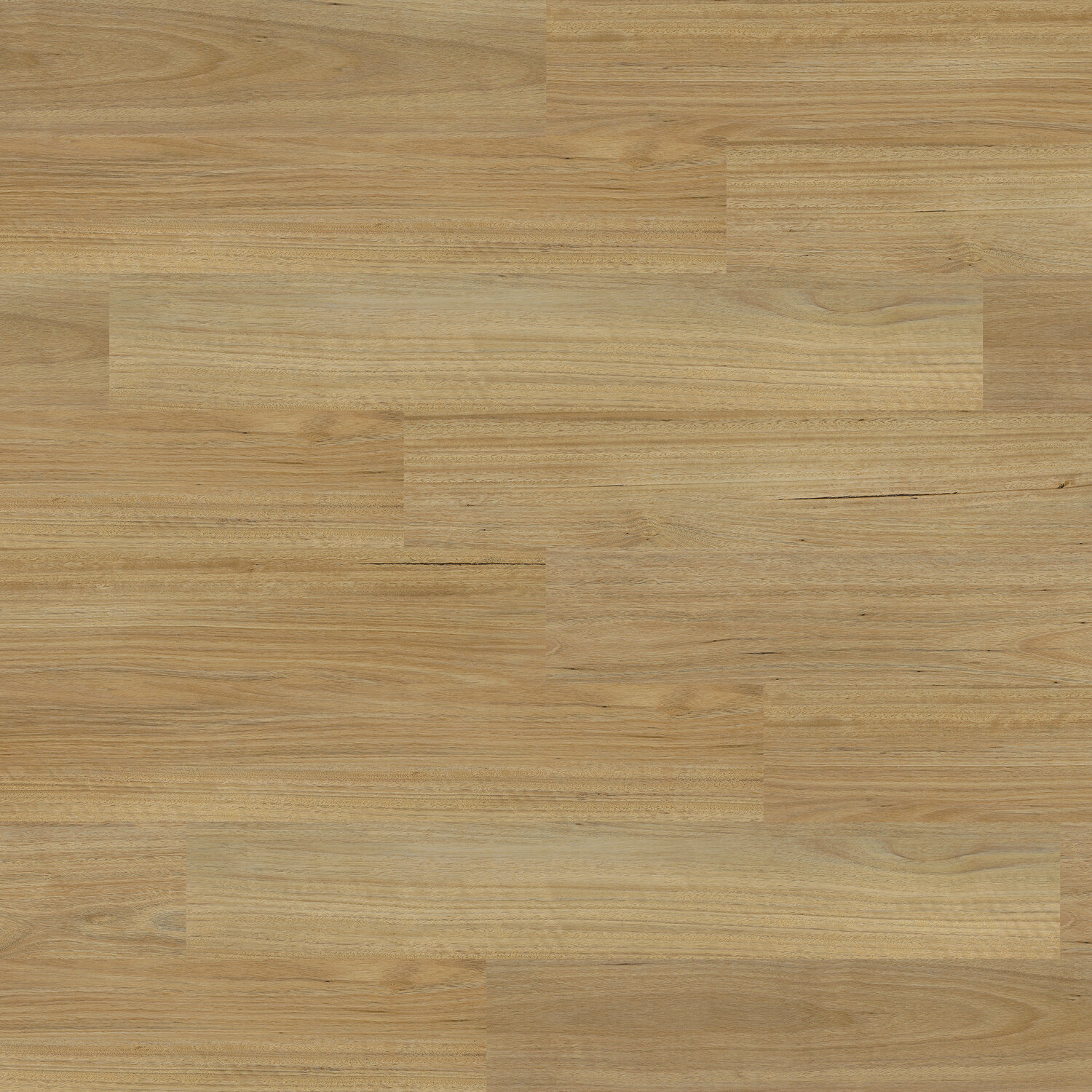Modular Living Classic MLC11822 Mountain Gum Swatch.jpg