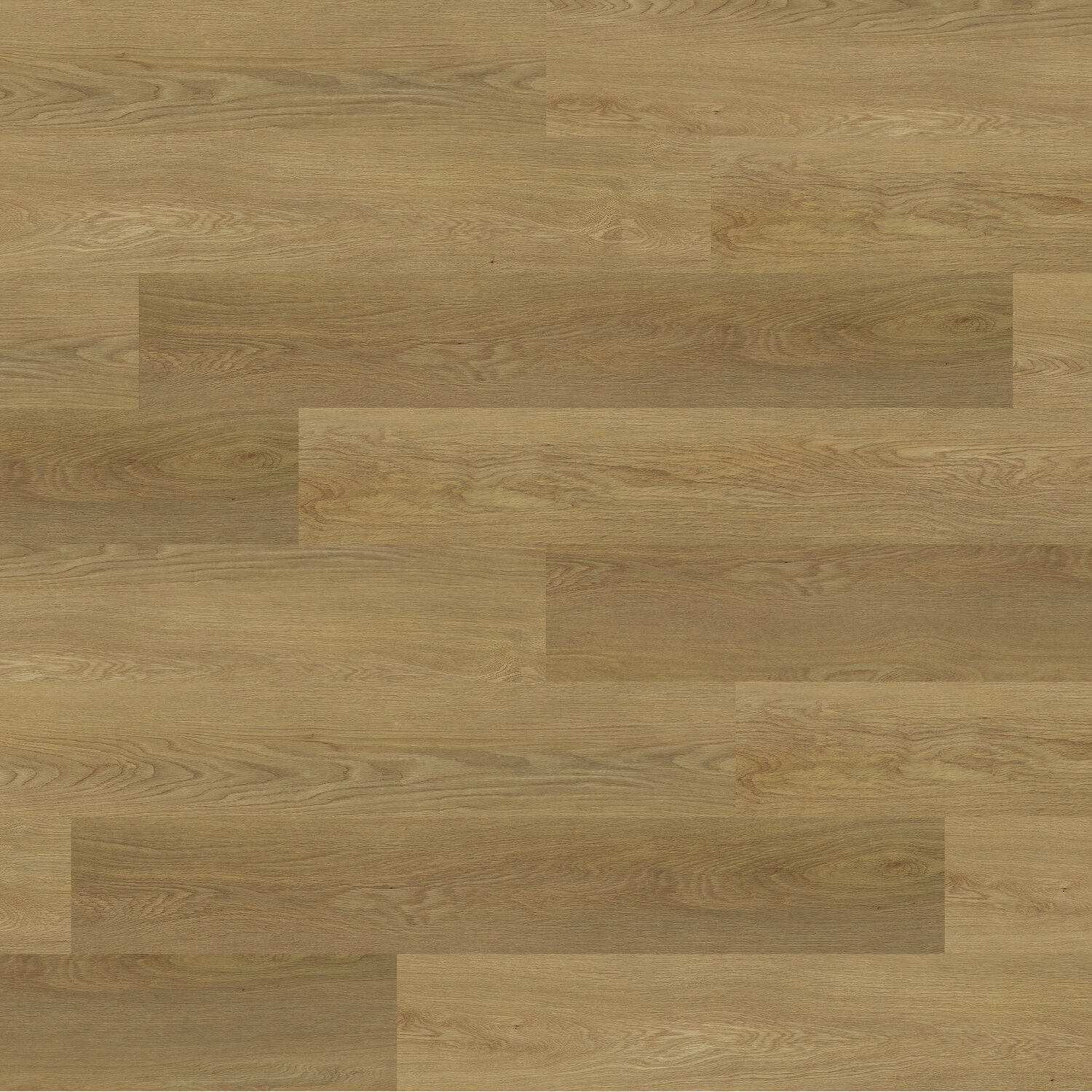 Modular Living Classic MLC11824 Honey Elm Swatch.jpg