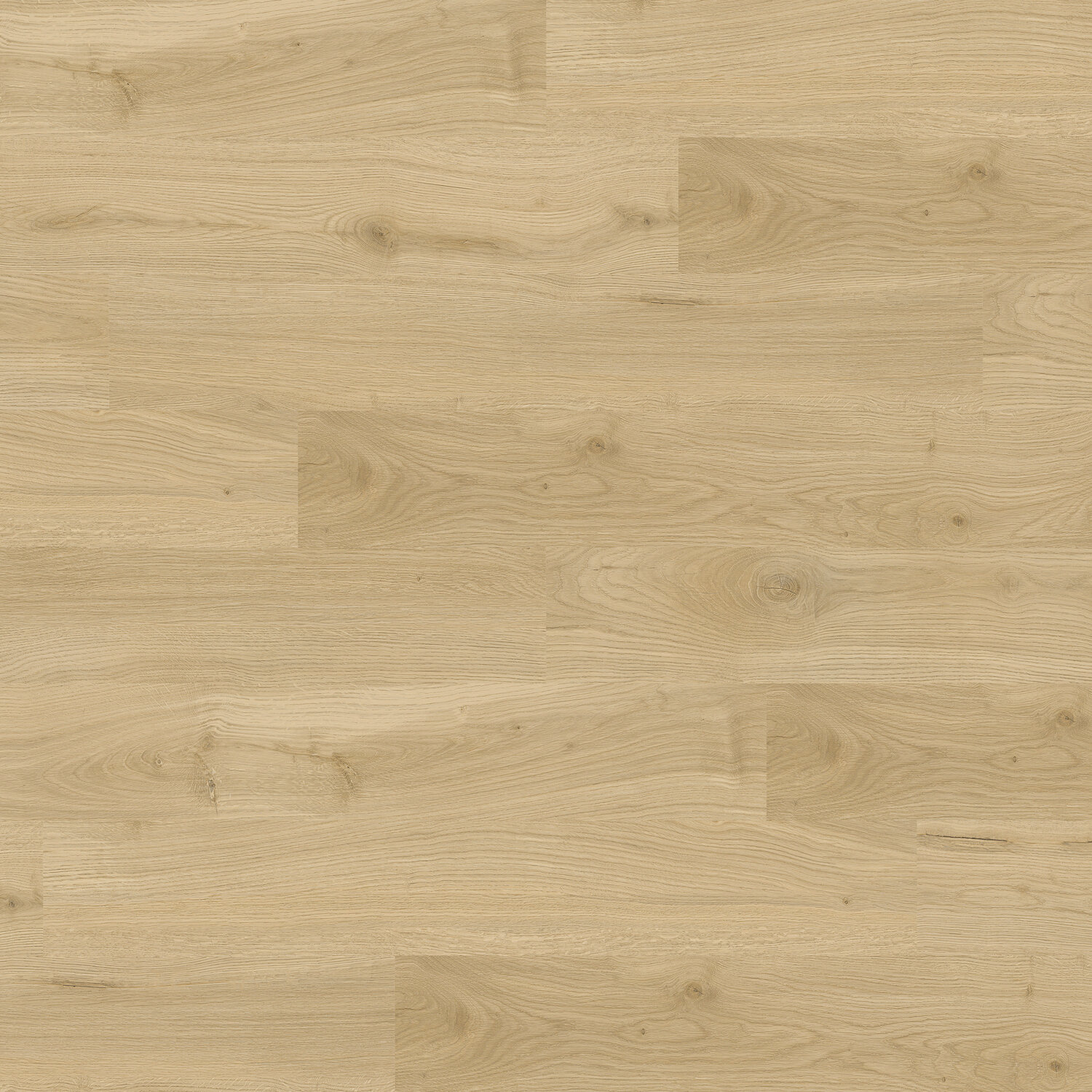 Modular Living Classic MLC11826 Blonde Oak Swatch.jpg
