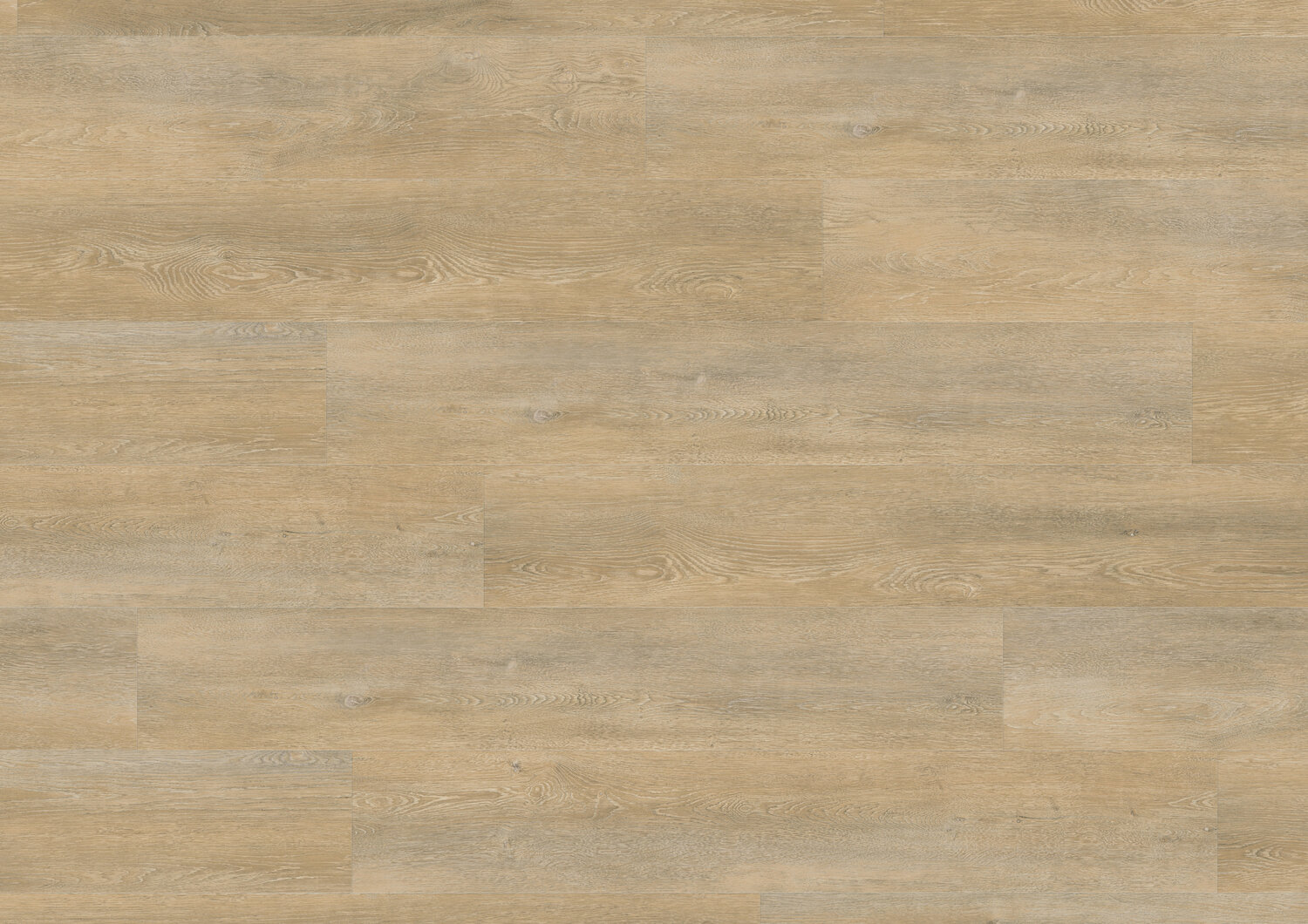 Virtuo Classic 55 XL 1011 Empire Blond Swatch.jpg