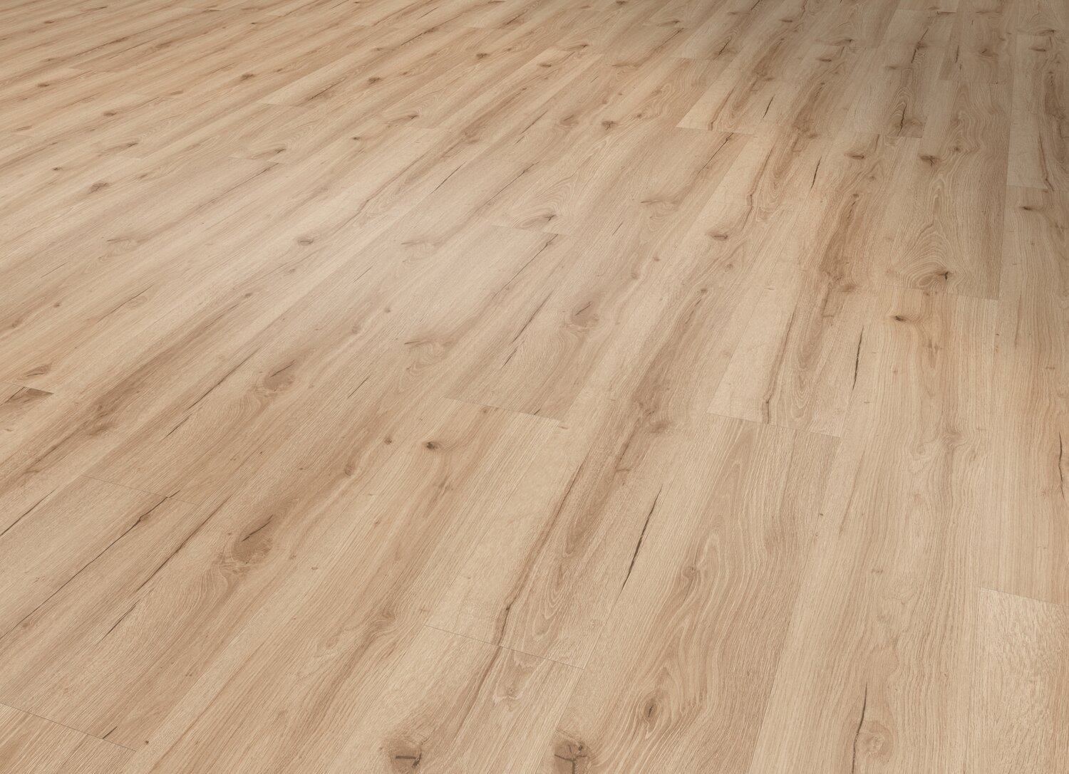 Bark clear Perspective view.jpg