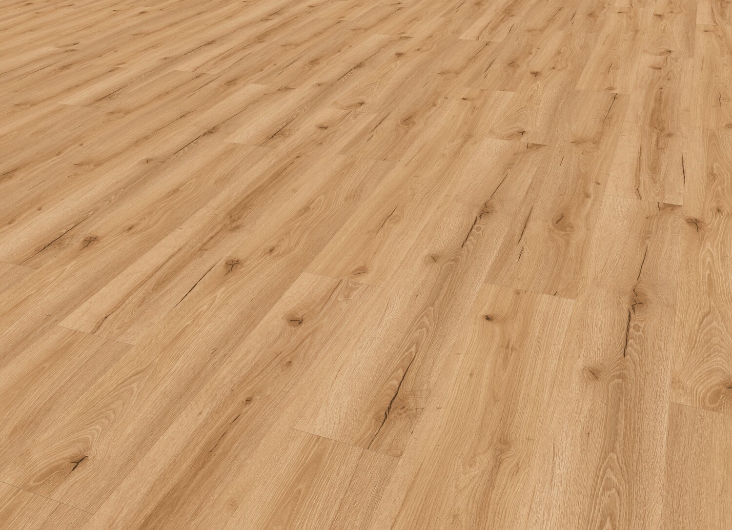 Barkk Honey Perspective view.jpg