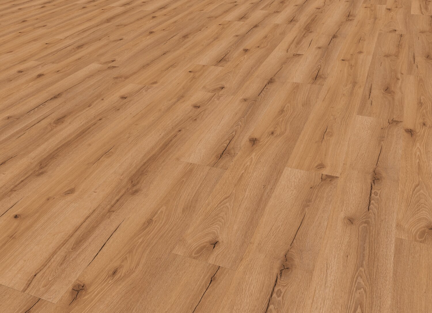Bark medium Perspective view.jpg