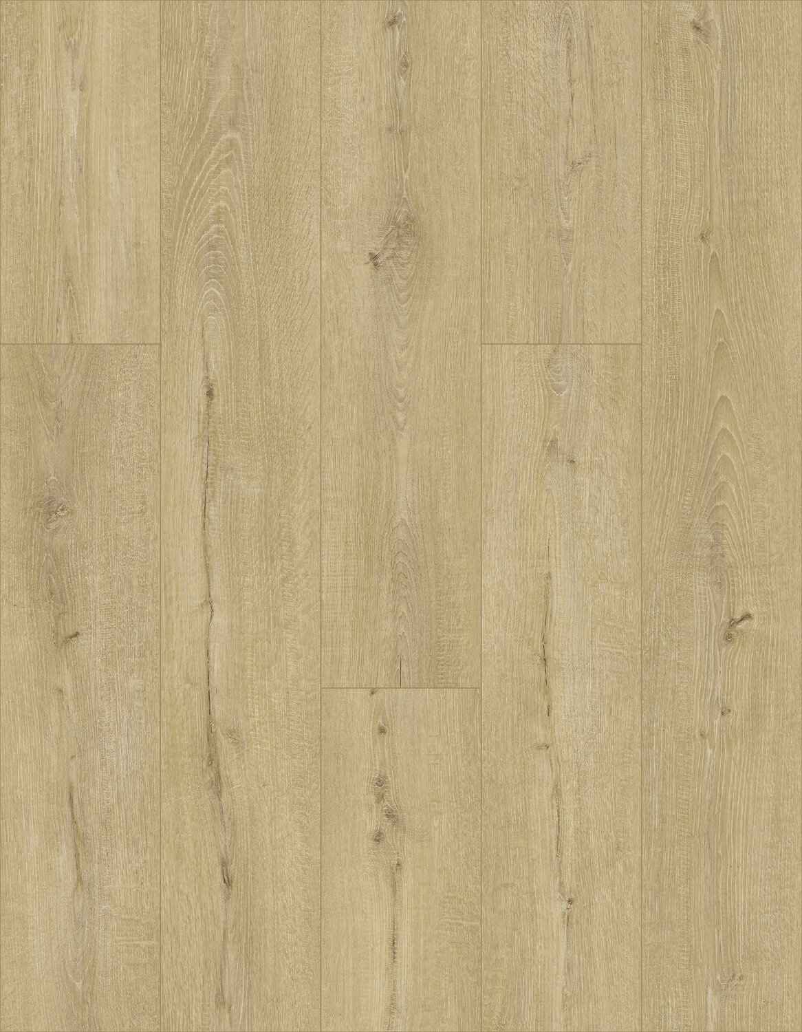 scala rigid acoustic - montella clear - skyview