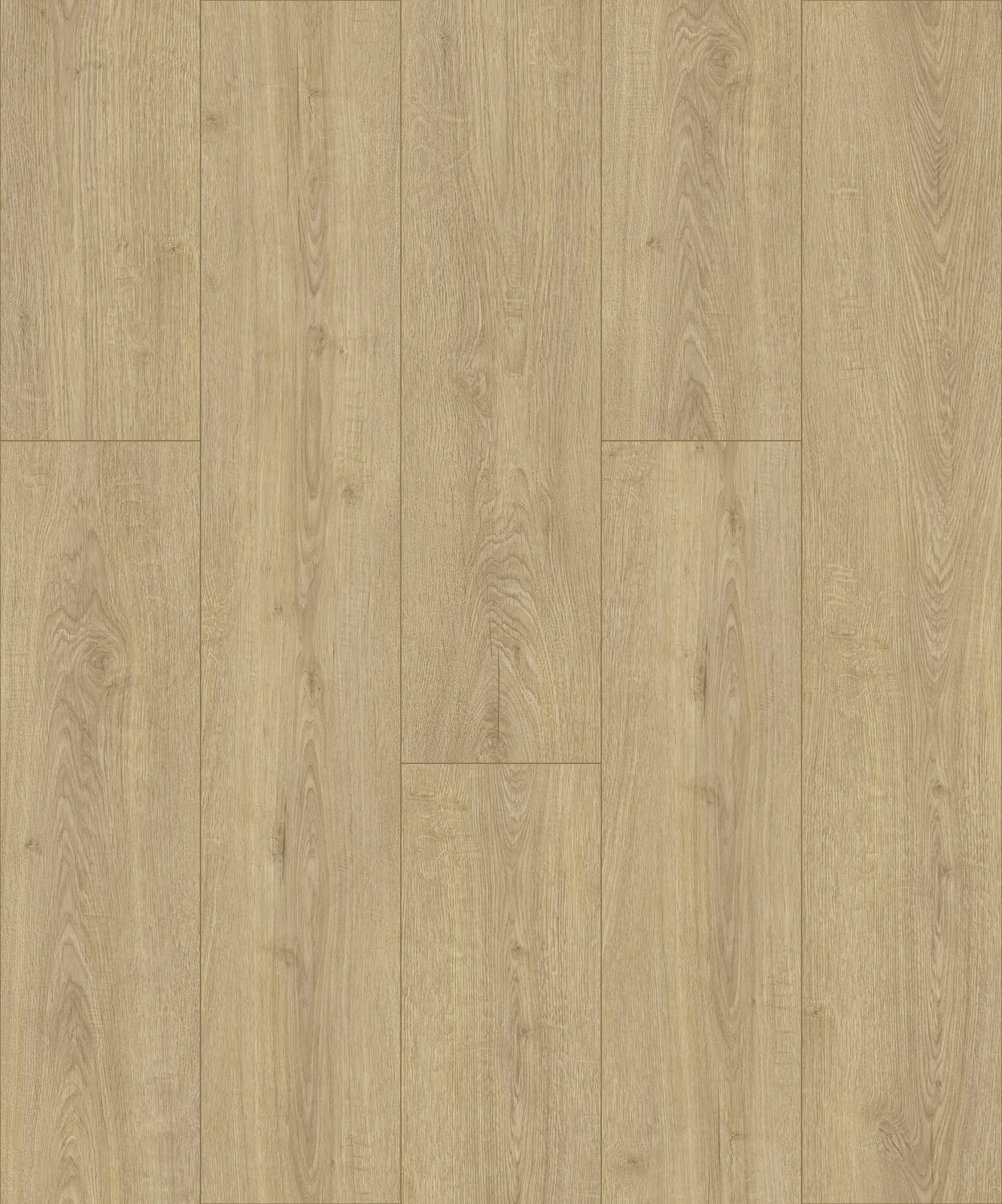 scala rigid acoustic - orsena light - skyview