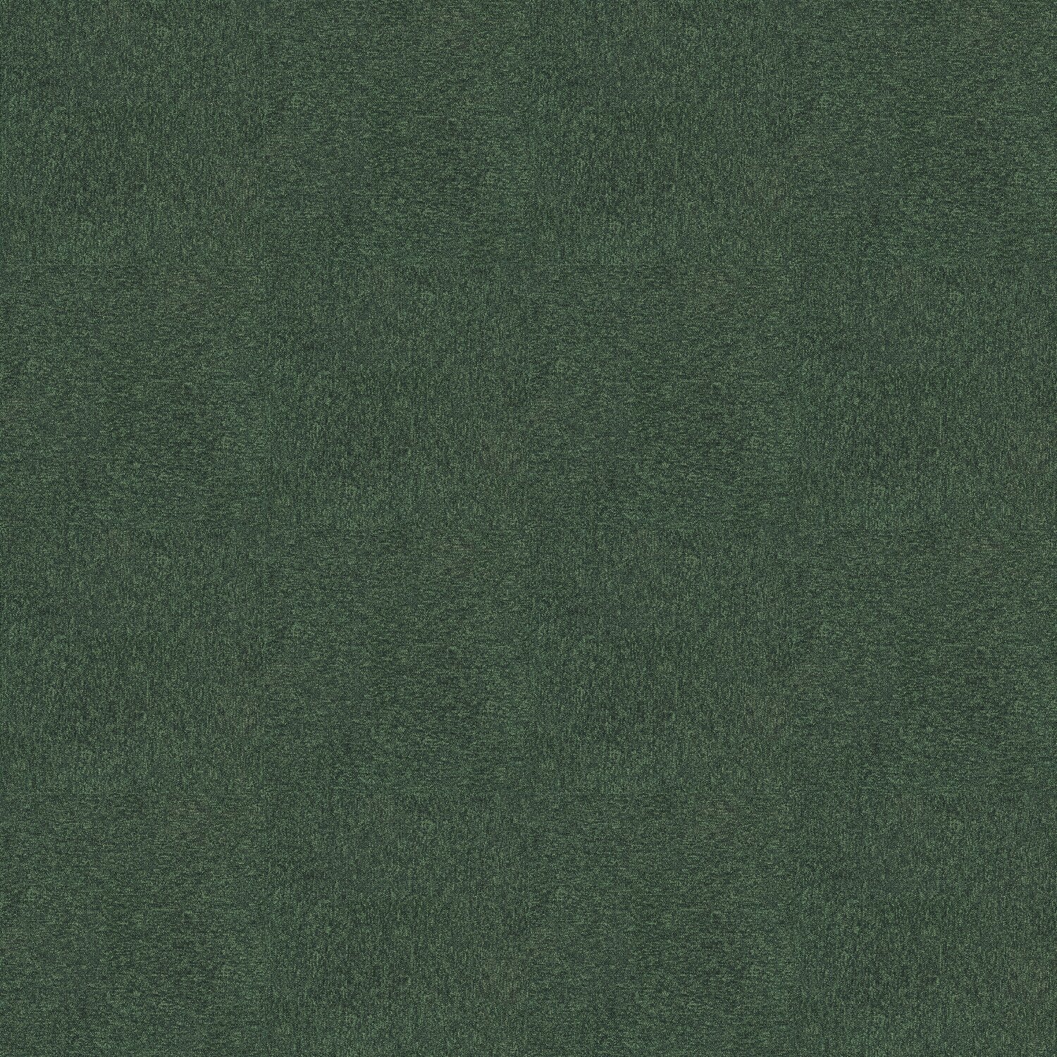 JPG 72 dpi Armonia 540 179