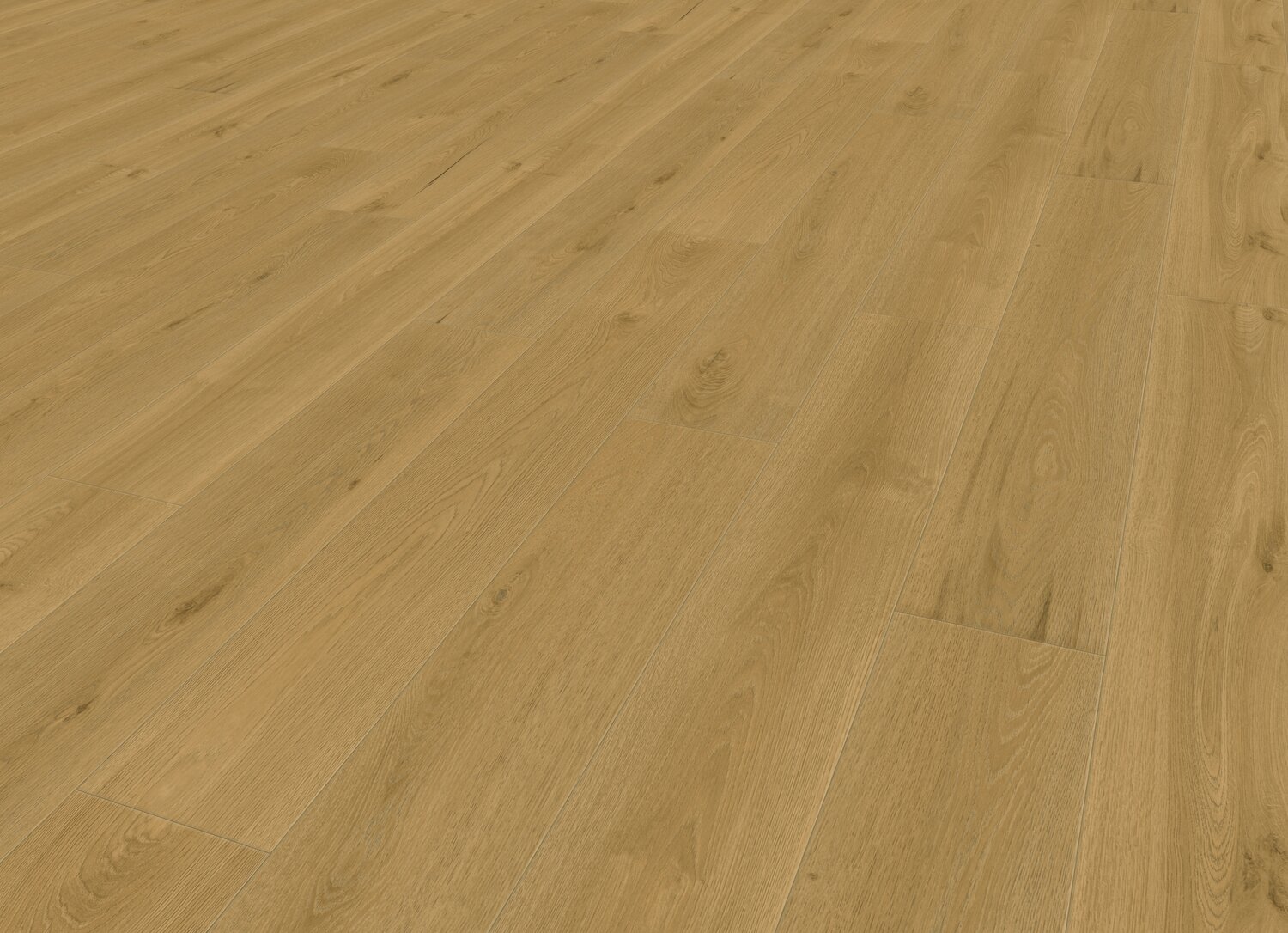 COTTAGE SUN PERSP.jpg