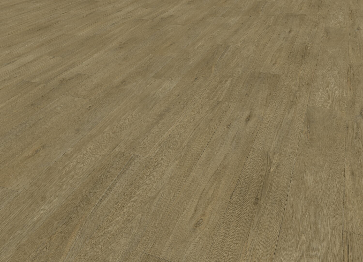 OTELO NUTMEG PERSP.jpg