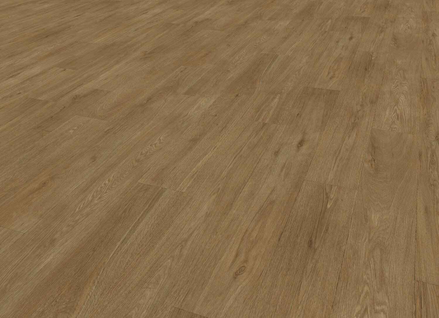 OTELO BROWN PERSP.jpg