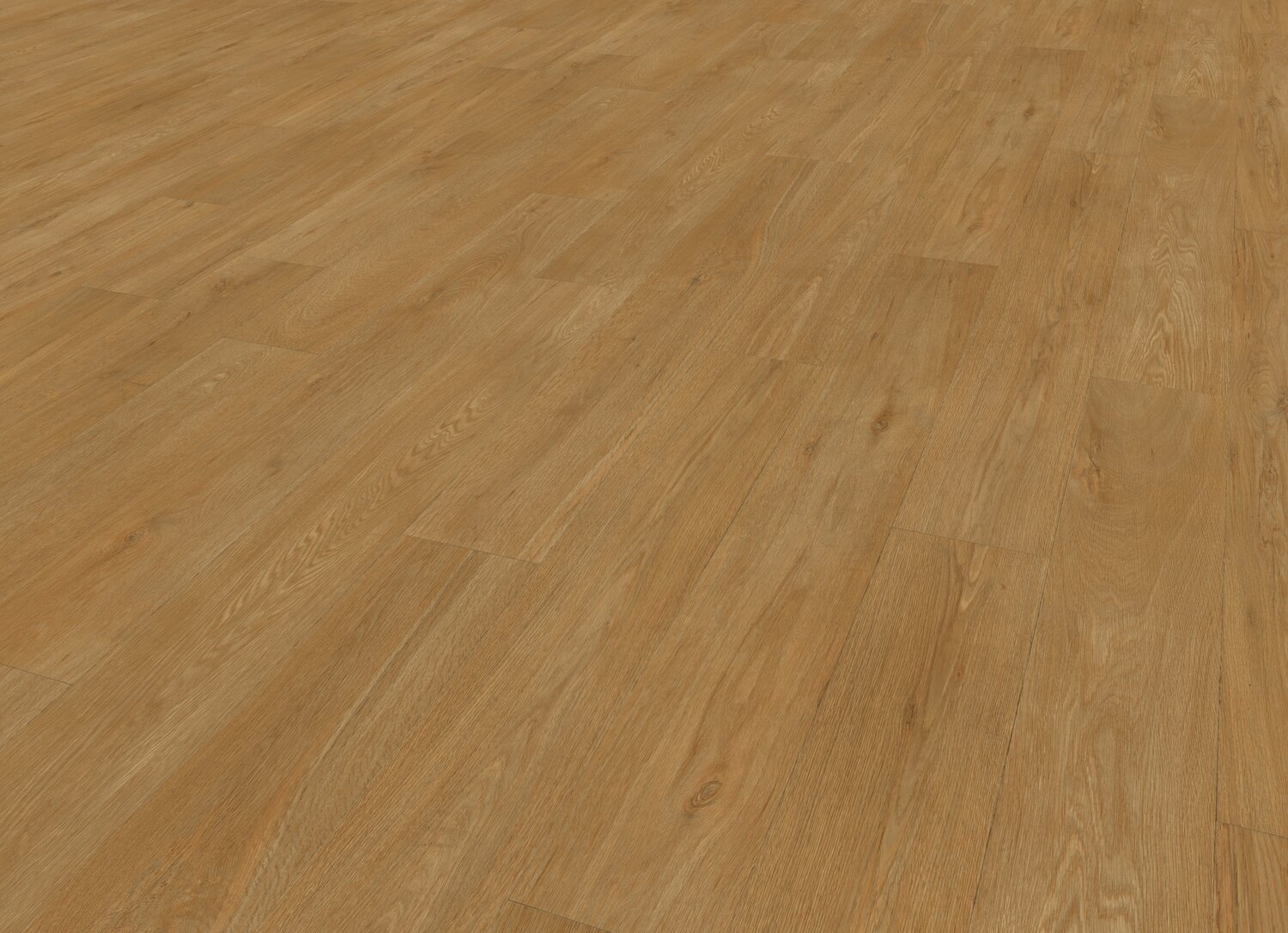 OTELO HONEY PERSP.jpg