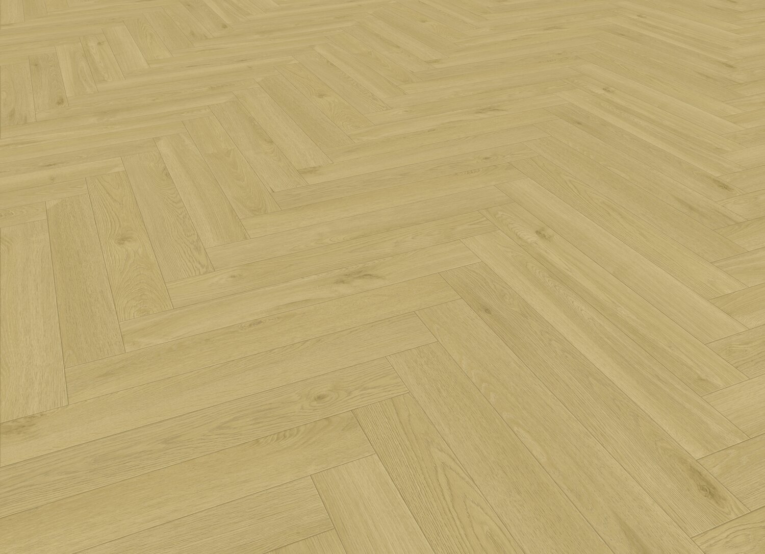 HERA LIGHT PERSP.jpg