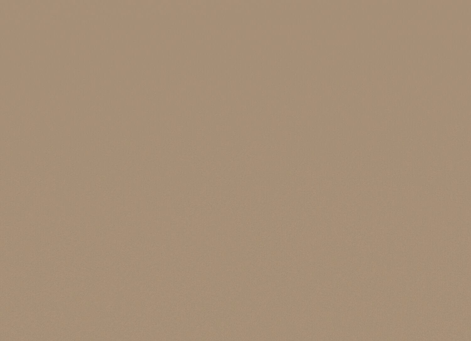 persp view-chicago terra.jpg