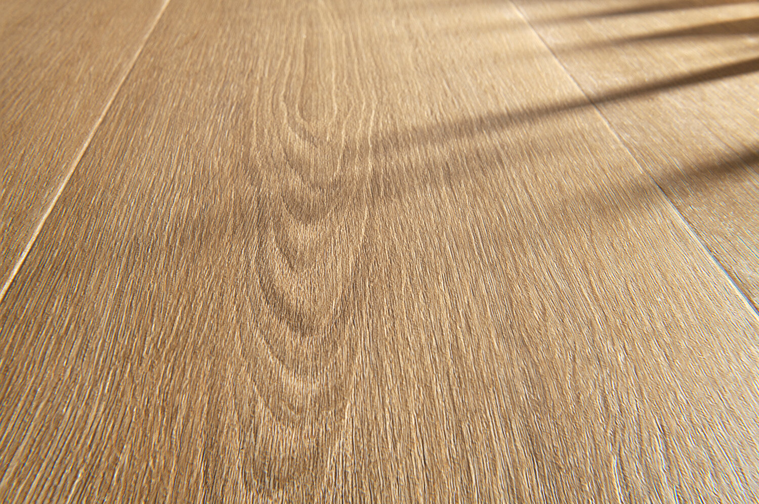 Gros plan Blomma Beige horizontal.jpg