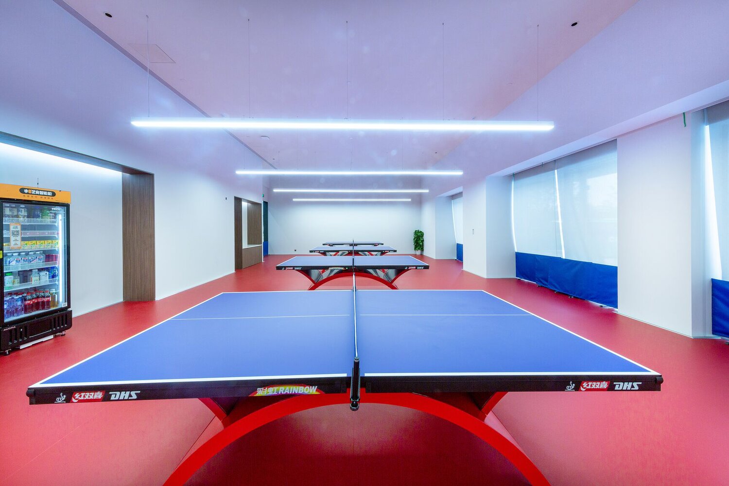 RECREATION - ROOM SCENE VIEW 