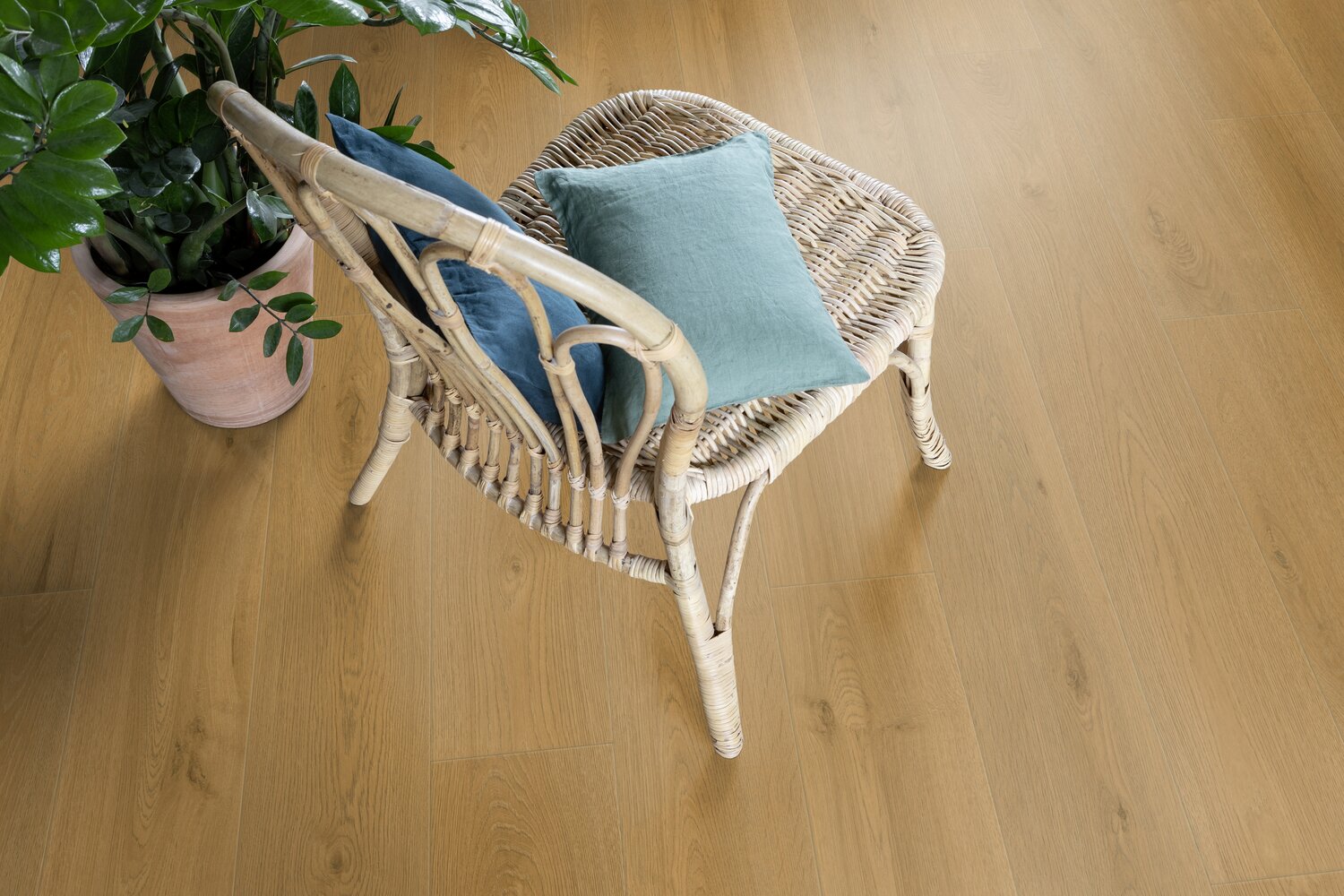 COTTAGE BLOND ZOOM PRODUCT.jpg